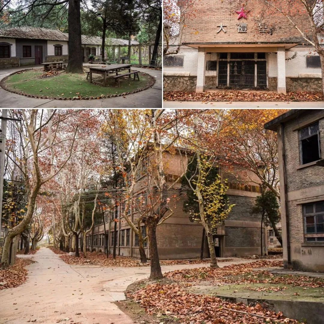 081746680353280924.jpeg 081746680353280924.jpeg